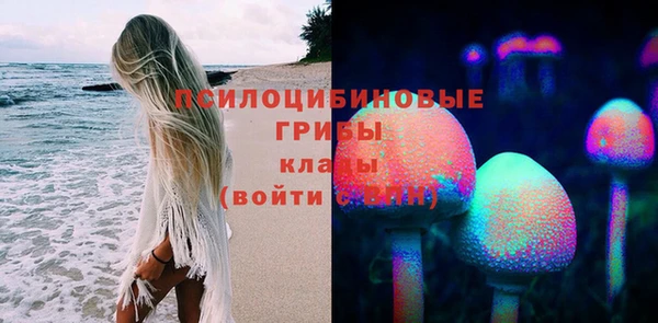 сатива Абаза