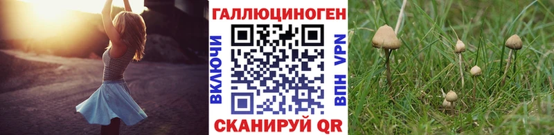 Галлюциногенные грибы мухоморы  Дивногорск 