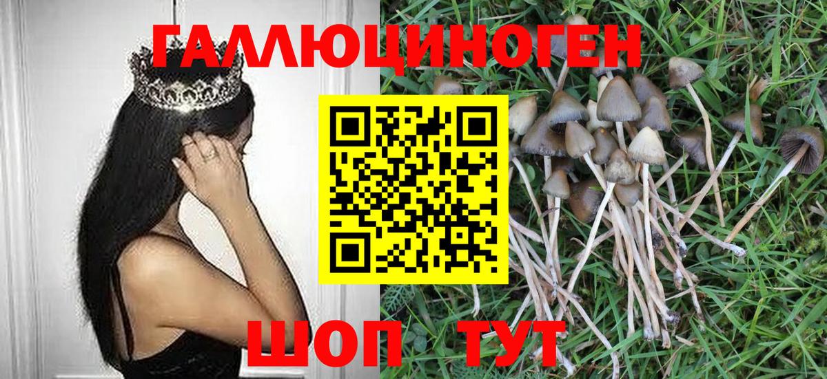 Дивногорск  Галлюциногенные грибы ЛСД  Вход с VPN 