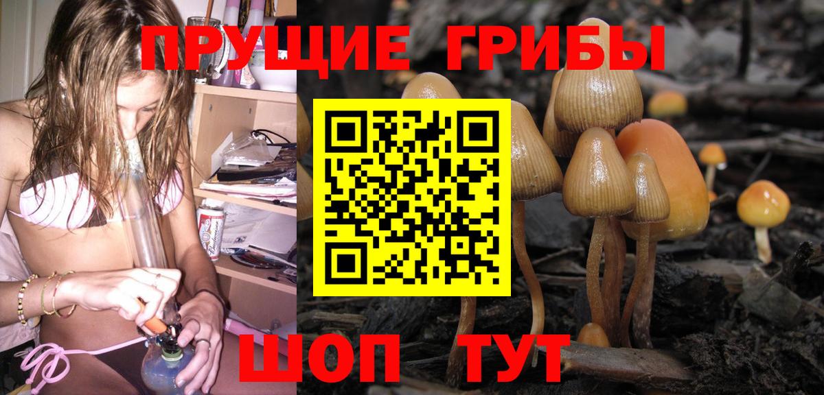 Псилоцибиновые грибы прущие грибы Дивногорск